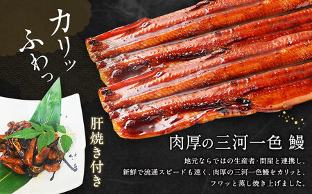 三河一色産 うなぎ蒲焼き 大3尾 合計480g以上 うなぎ 鰻 蒲焼 蒲焼き 肝焼き 国産 愛知県産 冷凍