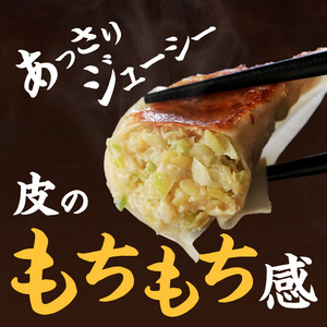 浜松餃子 餃子GP優勝 石松 60個 元祖 石松餃子 餃子 国産 冷凍 ぎょうざ ギョーザ