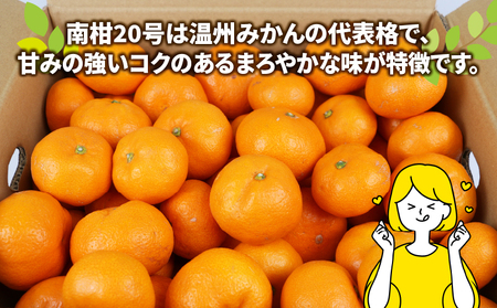 南柑20号 みかん 9kg 家庭用 玉津柑橘倶楽部 温州みかん 【 みかん 愛媛 】 B010-072002
