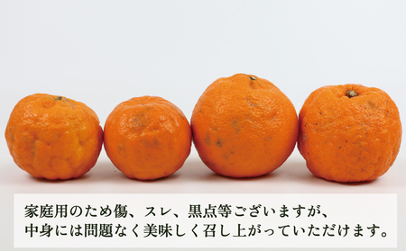  【宇和島産ポンカン】冬の柑橘 ポンカン 9kg 玉津柑橘 B010-072003