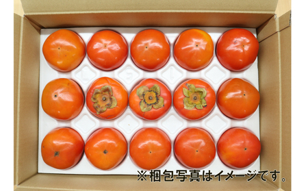 訳あり 柿 富有柿 15～16個 5kg L 2L ふゆう柿 末光農園 先行予約 不揃い kaki かき ふゆうがき カキ フルーツ 訳アリ 訳あり品 訳有り わけあり 果物 くだもの 産地直送 農家直送 数量限定 国産 愛媛 愛媛県産 宇和島 F012-118002
