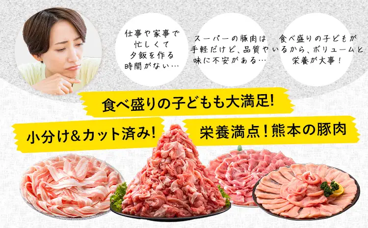 豚肉 バラエティセット 4.6kg 豚肉 バラ肉《7-14日以内に出荷予定(土日祝を除く)》