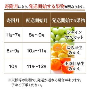 産地厳選三豊のフルーツ3回定期便 I
