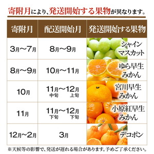 産地厳選三豊のフルーツ5回定期便 H