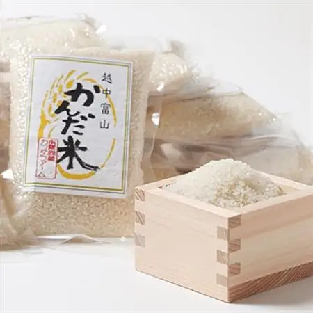 鮮度の米　かんだ米『コシヒカリ』精米　真空パック　2合×12袋【1377690】