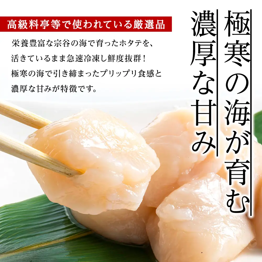 【厳選品】本ズワイガニしゃぶしゃぶ・刺身用ホタテセット【配送不可地域：離島・沖縄県】