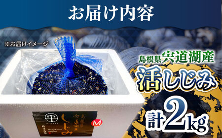 しじみ 新鮮採れたて！宍道湖産活大和しじみ(M)2kg(砂はき済み) 島根県松江市/平野缶詰有限会社[ALBZ015]