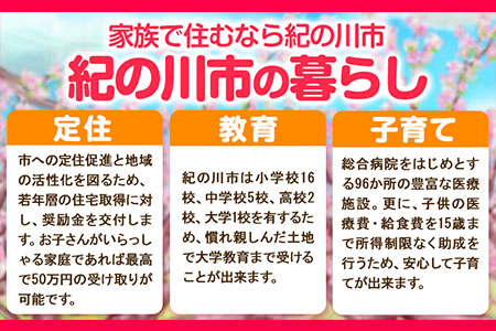 和歌山県 紀の川市 応援寄附 1口 1000円【返礼品なし】