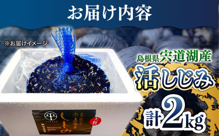 しじみ 新鮮採れたて！宍道湖産活大和しじみ大粒(L)2kg(砂はき済み)  島根県松江市/平野缶詰有限会社[ALBZ016]
