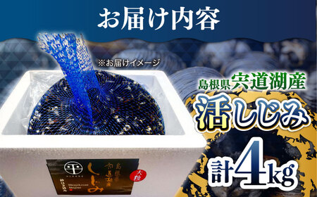 しじみ 驚きの大容量！宍道湖産活大和しじみ大粒(L)4kg(砂はき済み) 島根県松江市/平野缶詰有限会社[ALBZ017]