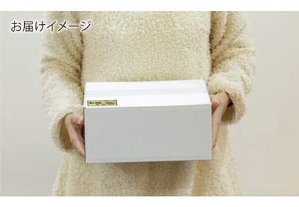 牛肉切り落とし 600g(300g×2) NAC012 牛肉