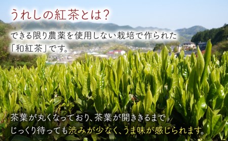 紅茶うれしの紅茶5種セットB NAP006 