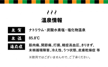 入浴券 (11回分) NBX001 嬉野温泉 温泉 