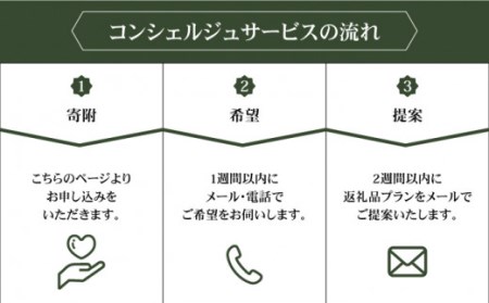 コンシェルジュ100万円プラン NZY002 