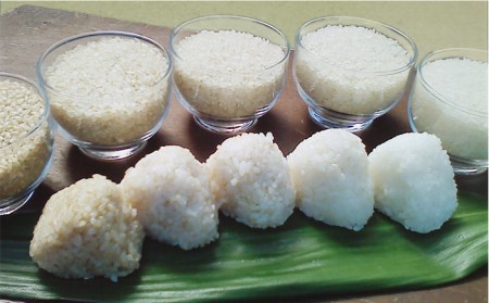 農薬 使わない 栽培！糸島産 夢つくし 5kg 玄米 分搗き 対応《糸島》【二丈赤米産直センター】[ABB025] 米 ゆめつくし