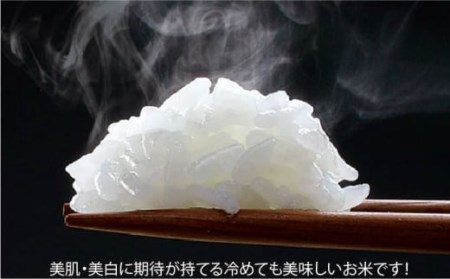 定期便 白米 令和7年産さがびより10kg NAO044 全12回 白米