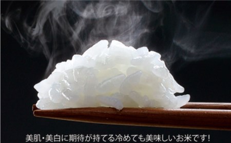 【定期便】 白米 令和7年産ヒノヒカリ5kg NAO057 全3回 白米