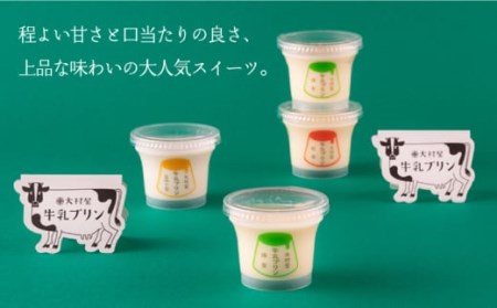 6回【定期便】 大村屋牛乳プリン6個入りアソートセットNAX006 