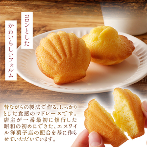 マドレーヌクラッシック　15個入り [h194]