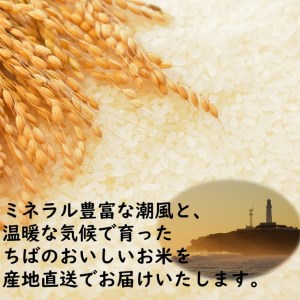【定期便】無洗米コシヒカリ 10kg 3ヶ月 【千葉県産米】