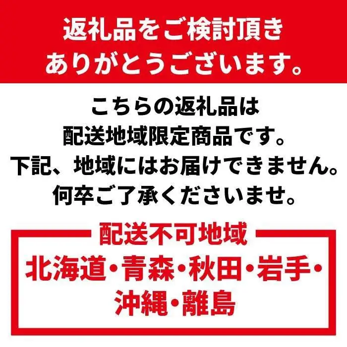 活 伊勢海老 1匹 約300g 伊勢海老