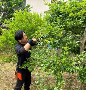 【要・お申込前ご連絡】お庭のお手入れ(作業地：日向市内限定)《4日×7時間程度》 [宮崎県 日向市 270-02-(80)]