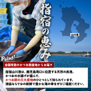 6種のすり身 300g×各1本 計1.8kg セット 山川町漁協 IB039-006 すり身 すり身 
