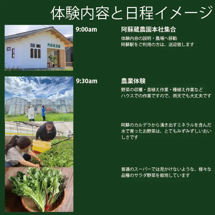 阿蘇蔵農園 阿蘇のカルデラで農業体験＆お散歩 野菜スムージー・お弁当あり