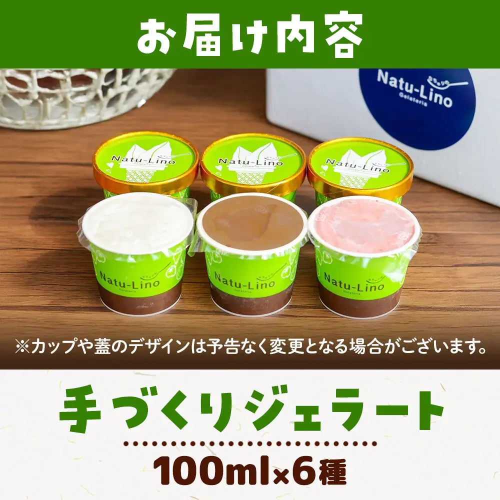 ナチュリノ自慢の手づくりジェラート 6種 自然派 人気店 Gelateria Natu-Lino natulino