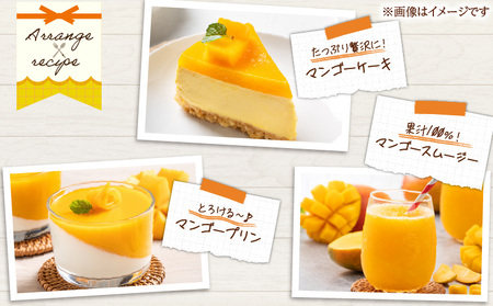 先行予約 数量限定 南国 宮崎 完熟マンゴー 4L × 1玉 A級品 化粧箱入り_BD101-24