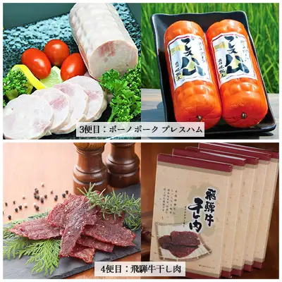 【隔月定期便 6回】飛騨味職人「おさだ食品 定期便」【57-C】