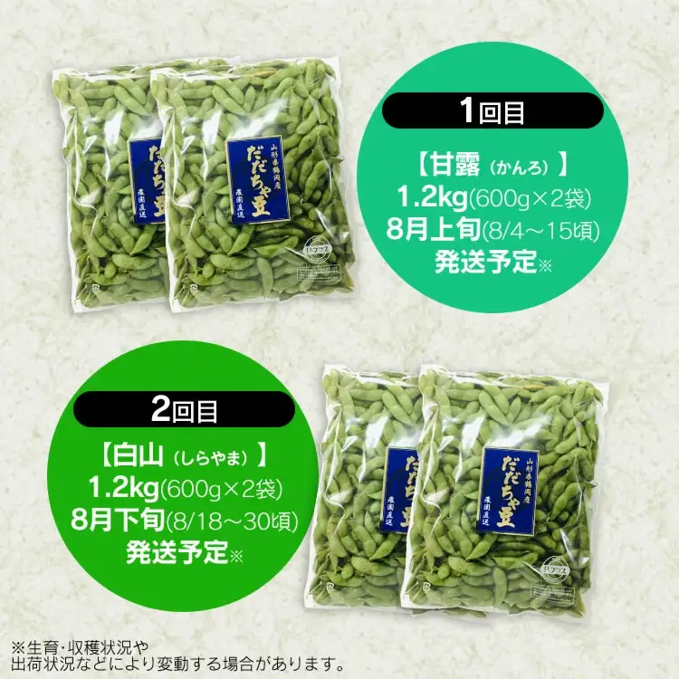 【2回定期便】【令和8年産先行予約】 朝採り生だだちゃ豆 1.2kg(600g×2袋) 旬2回お届け (8月上旬、8月下旬) 山形県鶴岡市産　株式会社菜な八（鶴岡ファーマーズ）