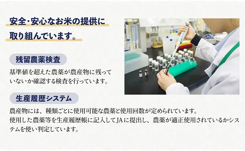 するがの極（きぬむすめ）2kg×2袋 ラブライブ！サンシャイン!!オリジナルデザイン【お米・2kg】 白米 ライス ご飯 ブランド米 銘柄米 お弁当 おにぎり 一等米 芳醇な香り 旨み 精米