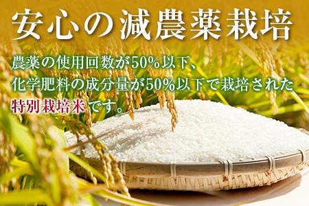 北広島農場 特別栽培米 コシヒカリ 精米5kg 2025年産米 米どころ北広島町のおいしいお米_NI083_002