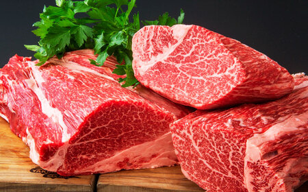 しまね和牛 ヒレステーキ 500g [ALEF001] 牛肉 ヒレ