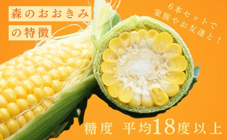 2026年産 実がぎっしり大きい 新鮮 朝どれ とうもろこし 先行予約 森のおおきみ 6本 セット 詰め合わせ 野菜 JGAP認証 しずおか認証取得農場  先行 予約 2026 2026年 新鮮野菜 静岡 静岡県 森町