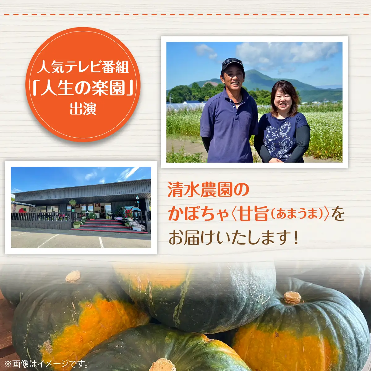 ＜2026年9月初旬よりお届け＞【農園直送】清水農園のかぼちゃ(甘旨）約10kg (4～6玉) SBTO013