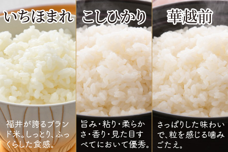 【令和7年産】 定期便 ≪3ヶ月連続お届け≫ 福井産無洗米 いちほまれ こしひかり 華越前 各2kg × 3回 計18kg 【 無洗米 人気 品種 ブランド米 特A 】 [H-6102]
