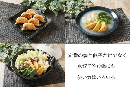 【ごち魂】の特製「新座ぎょうざ」バラエティセット（５種類　５８個入り） 【５月~１１月発送】
