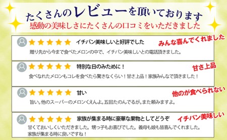 クラウンメロン【上（山等級）】特大玉（1.5kg前後）6玉入り 果物 フルーツ マスクメロン 上品な甘み とろける 柔らかい 王冠シール デザート おやつ おもてなし 