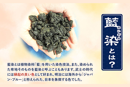藍染体験 一般社団法人ジャパンブルー上板 