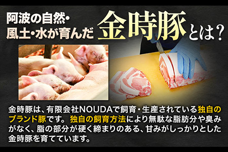 金時豚を使ったレトルト4種セット アグリガーデン 《30日以内出荷予定(土日祝除く)》