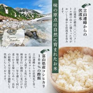 冷凍 ますの寿し 420g×1個  あるぺん村 寿し工房大辻 寿司 ます寿司 鱒寿司 押し寿司 富山 名物 長期保存 富山県 立山町 お歳暮 お中元 F6T-961