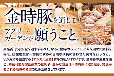 阿波の金時豚カレー 4個セット