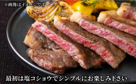 佐賀牛サーロインステーキ400g（200g×2） A5 すてーき スピード発送[FCX005]