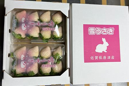 『先行予約』【令和9年2月中旬発送】唐津産 白いちご「雪うさぎ 」苺 イチゴ 希少 果物 フルーツ 脇山農園
