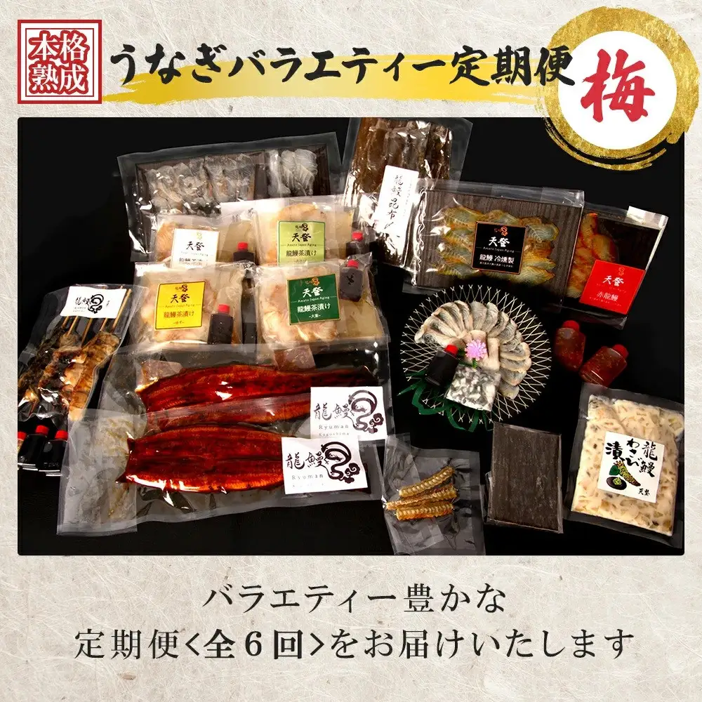 うなぎの概念が変わる!!【本格熟成】龍鰻バラエティー定期便《梅》