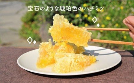 日本蜜蜂の純粋はちみつ 3個セット [MD01] 