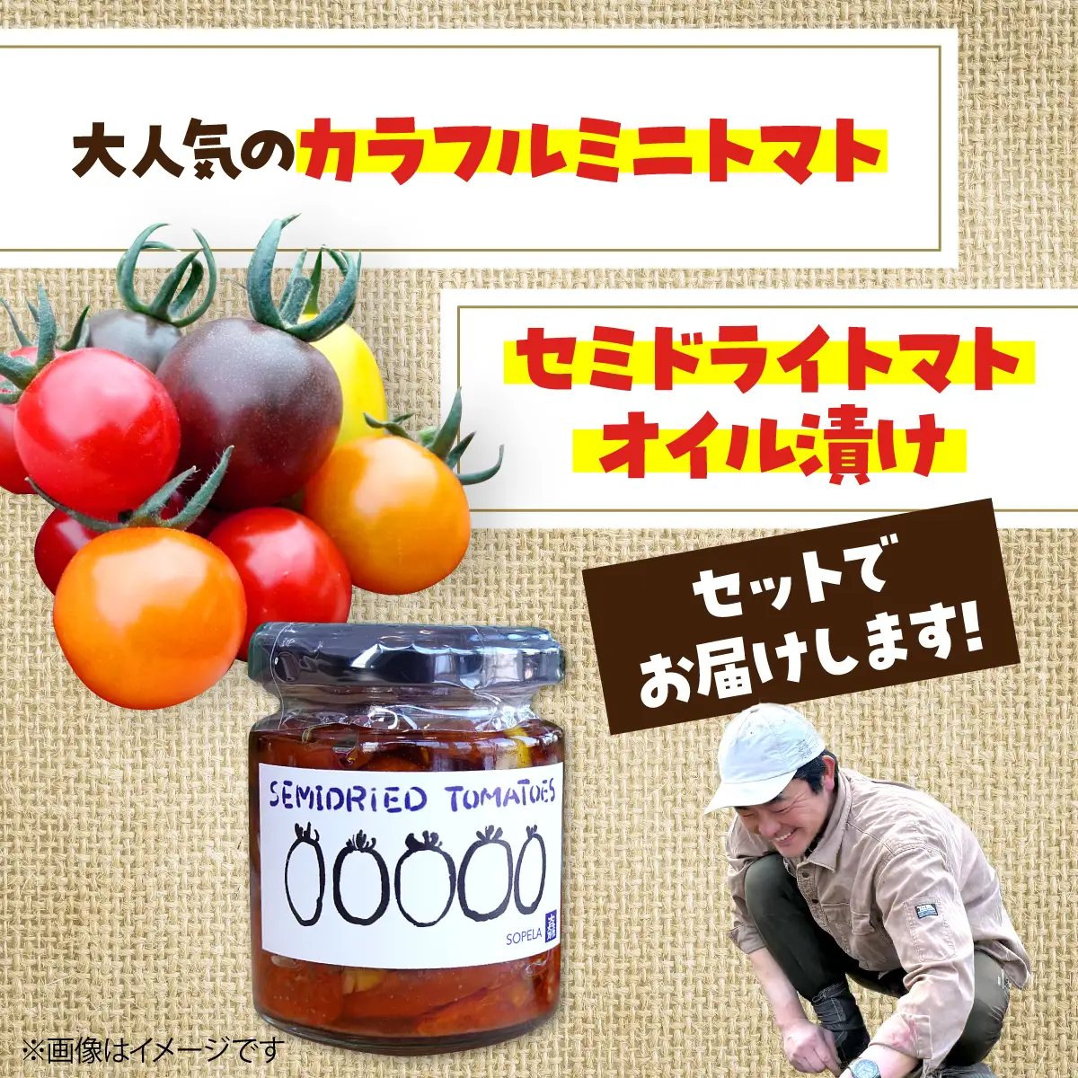 ＜2026年7月上旬よりお届け＞北海道壮瞥産 大作農園の「カラフルミニトマト」約500g（5種以上）とセミドライトマトオイル漬け1瓶（110g）のセット SBTR008