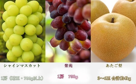 桃 ぶどう 梨 定期便 2026年 先行予約 晴れの国 岡山 の フルーツ 定期便 6回コース もも 葡萄 なし 岡山県産 国産 セット ギフト 白桃 ニューピオーネ シャインマスカット 晴王 紫苑 あたご梨 